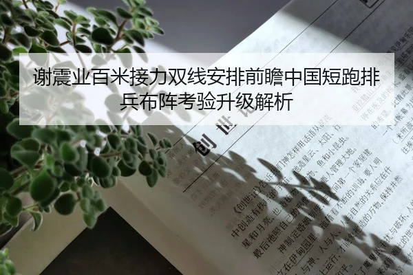 谢震业百米接力双线安排前瞻中国短跑排兵布阵考验升级解析
