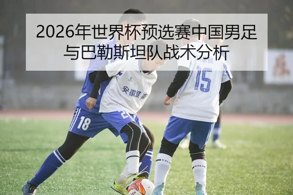 2026年世界杯预选赛中国男足与巴勒斯坦队战术分析
