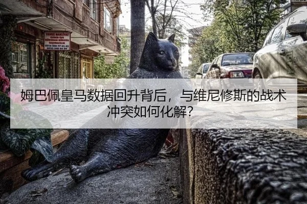 mu-ba-pei-huang-ma-shu-ju-hui-sheng-bei-hou-yu-wei-ni-xiu-si-de-zhan-shu-chong-tu-ru-he-hua-jie-2-820.jpg